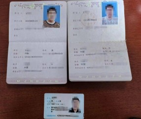 在线制作各种证件