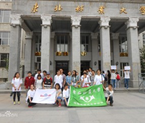 东北林业大学毕业证(东北林业大学成人本科毕业证)