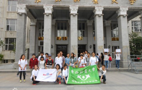 东北林业大学毕业证(东北林业大学成人本科毕业证)