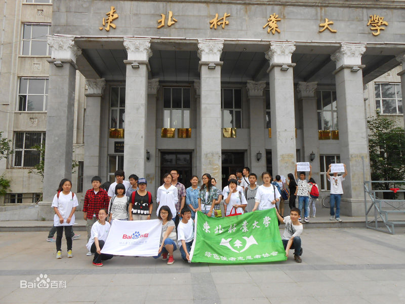 东北林业大学毕业证(东北林业大学成人本科毕业证)