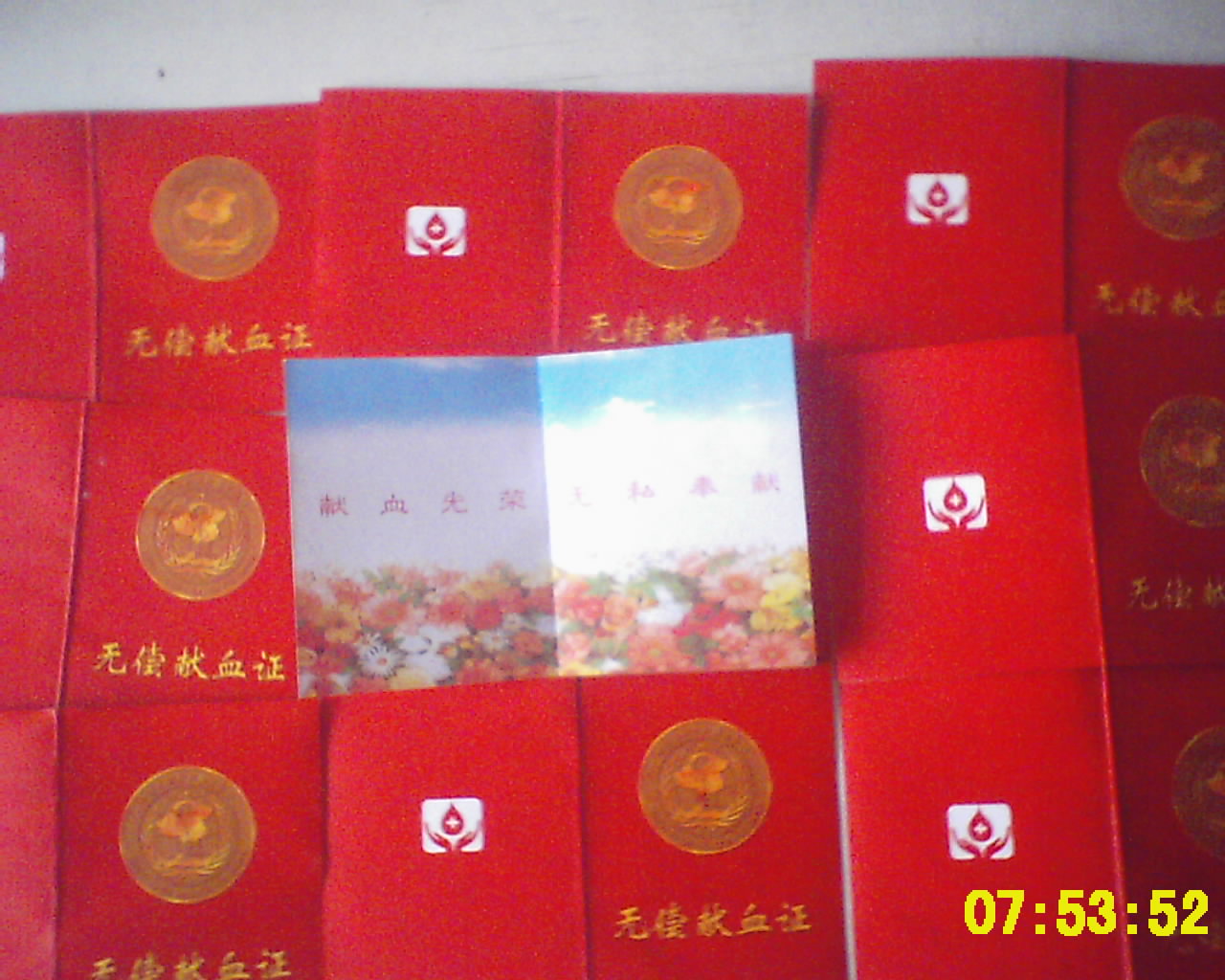 东北林业大学毕业证(东北林业大学成人本科毕业证)