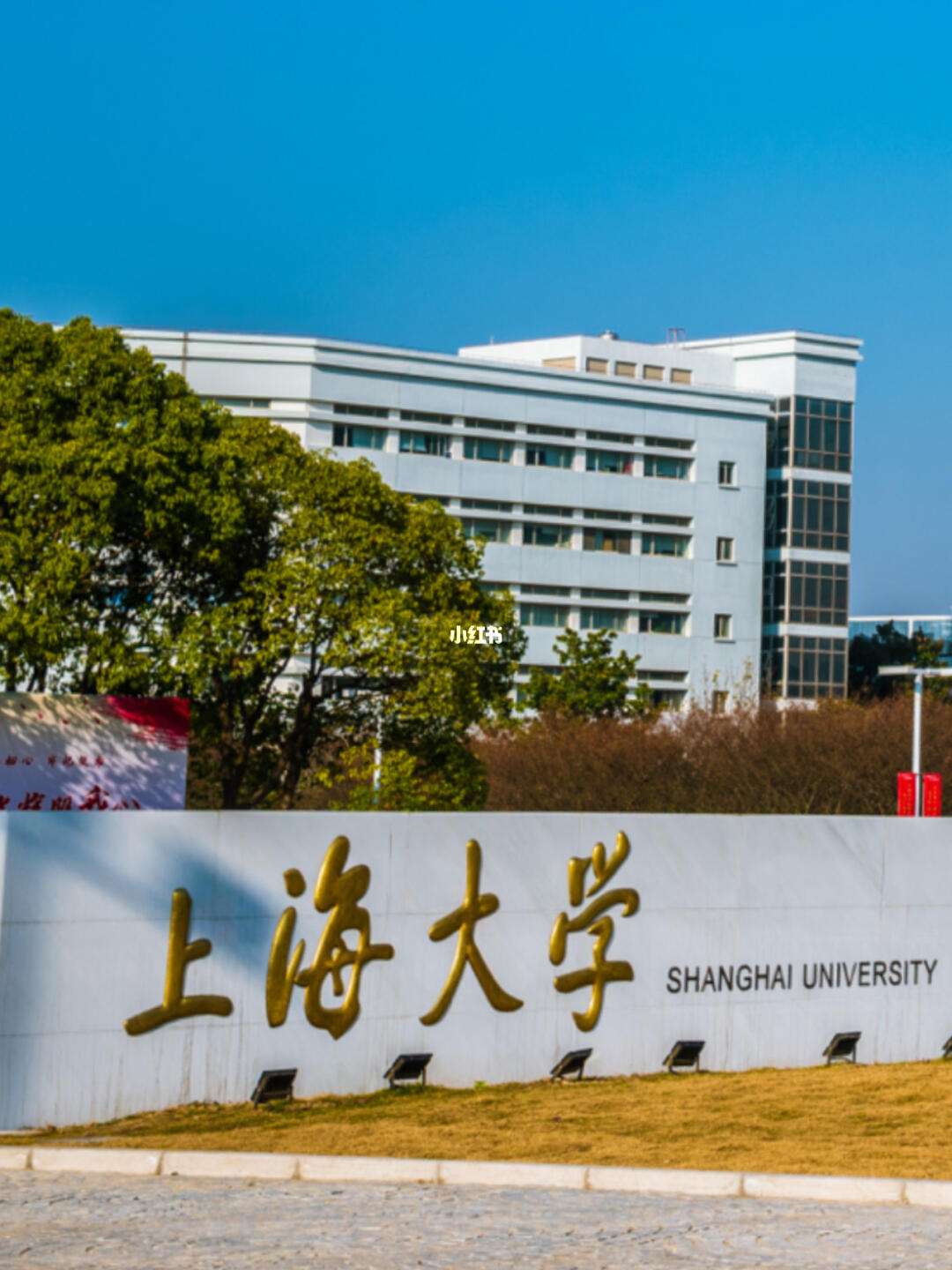 上海大学(上海大学有哪些)