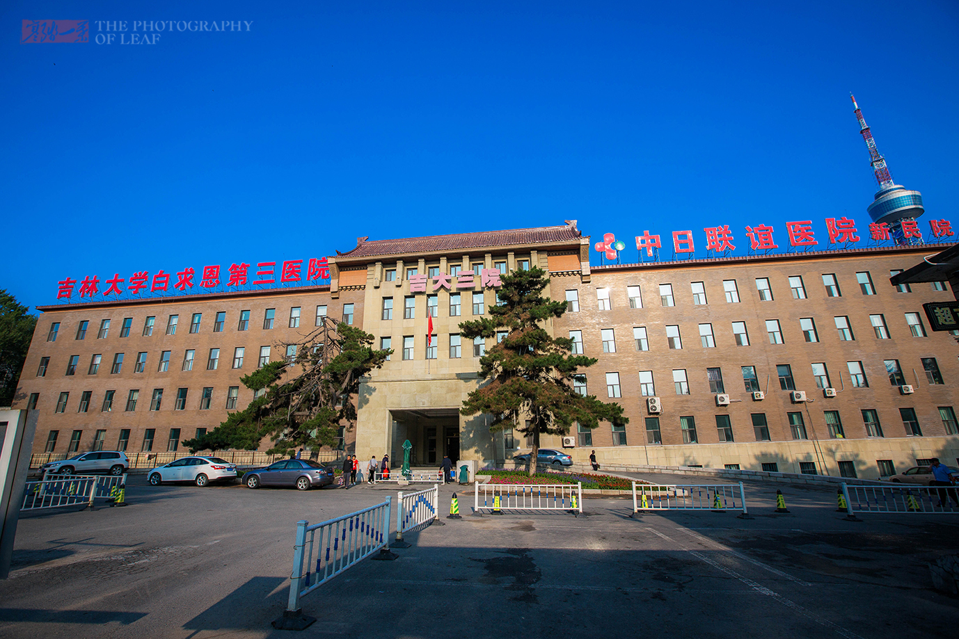 吉林大学文凭(吉林大学文凭查询)