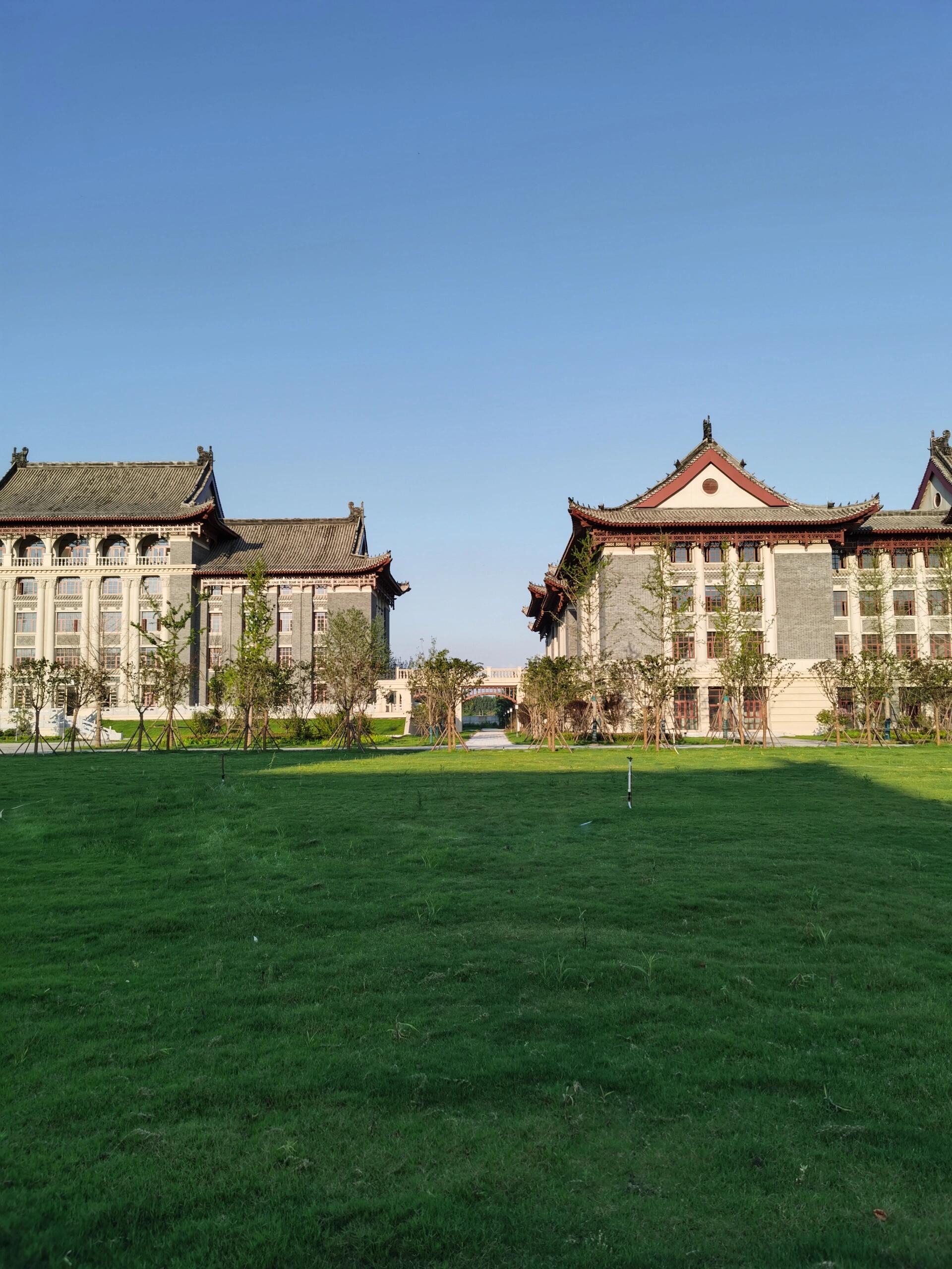 郑州大学(郑州大学是985吗)