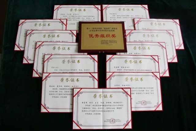 陕西师范大学网络教育学院毕业证