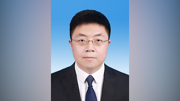 重庆大学文凭查询